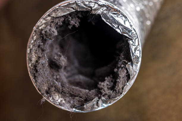 Best Local Air Duct Cleaning Services  in Collinsville, TX