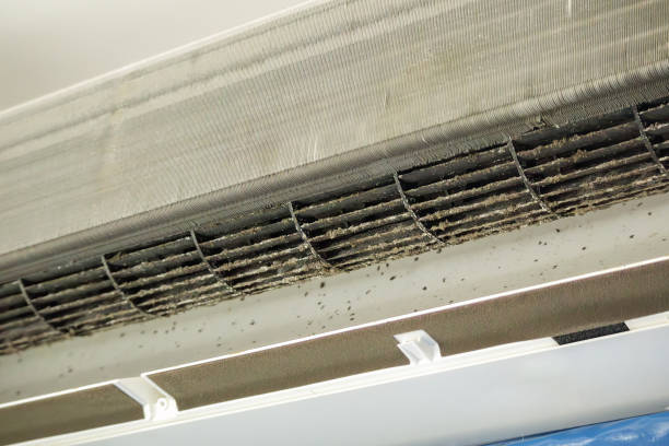 Best Best Air Duct Cleaning Company  in Collinsville, TX